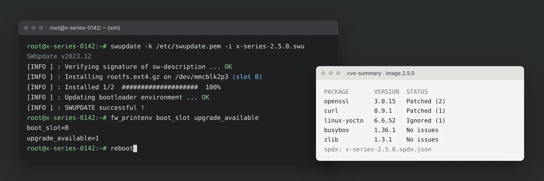 Terminal met een ondertekende software-update naast de CVE-samenvatting van het image
